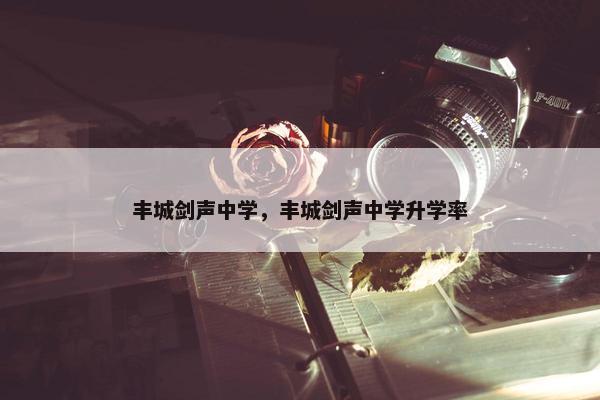 丰城剑声中学，丰城剑声中学升学率