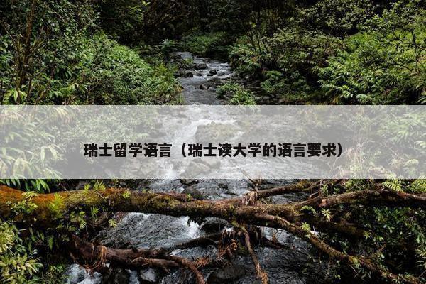 瑞士留学语言（瑞士读大学的语言要求）