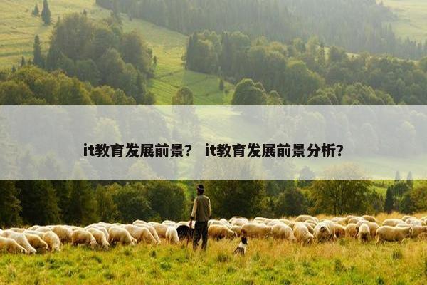 it教育发展前景？ it教育发展前景分析？