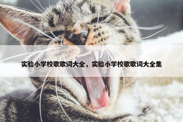 实验小学校歌歌词大全，实验小学校歌歌词大全集