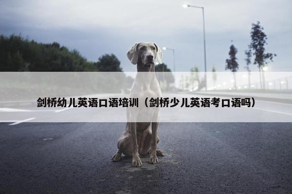 剑桥幼儿英语口语培训（剑桥少儿英语考口语吗）