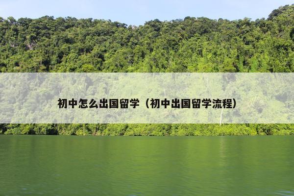 初中怎么出国留学（初中出国留学流程）