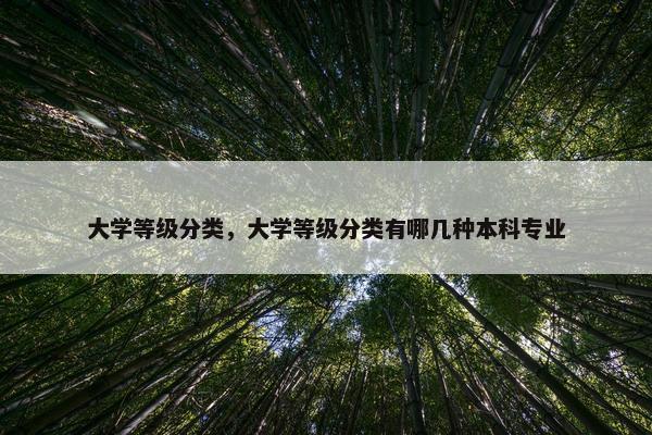 大学等级分类，大学等级分类有哪几种本科专业