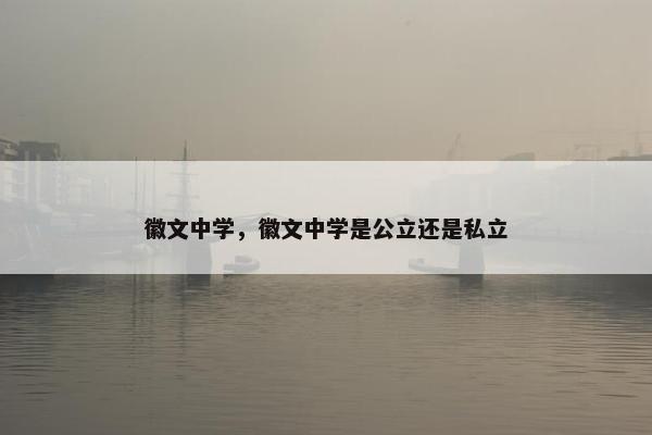 徽文中学，徽文中学是公立还是私立