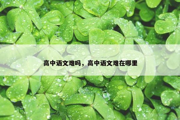 高中语文难吗，高中语文难在哪里