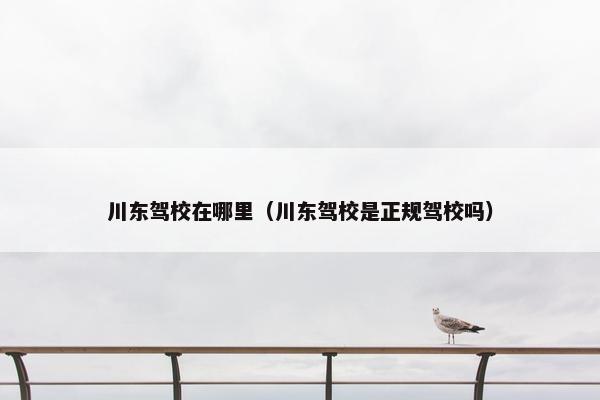 川东驾校在哪里（川东驾校是正规驾校吗）