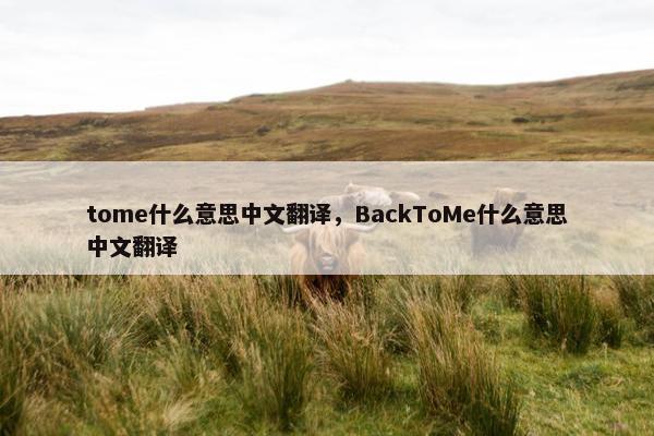 tome什么意思中文翻译，BackToMe什么意思中文翻译