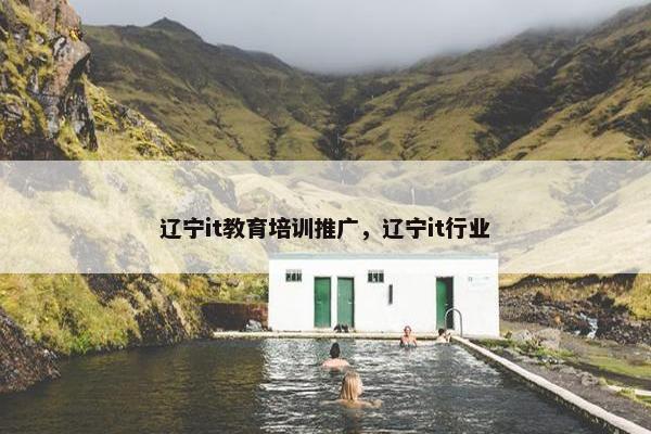 辽宁it教育培训推广，辽宁it行业