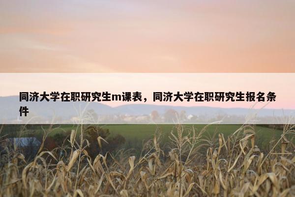 同济大学在职研究生m课表，同济大学在职研究生报名条件