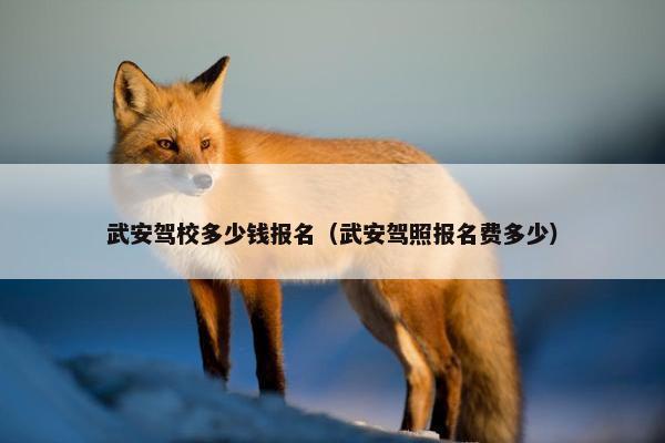 武安驾校多少钱报名（武安驾照报名费多少）