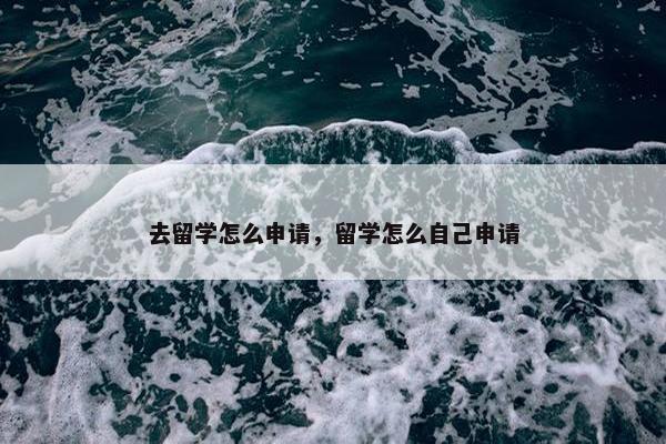 去留学怎么申请，留学怎么自己申请