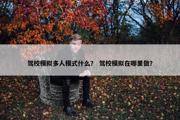 驾校模拟多人模式什么？ 驾校模拟在哪里做？