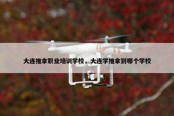 大连推拿职业培训学校，大连学推拿到哪个学校