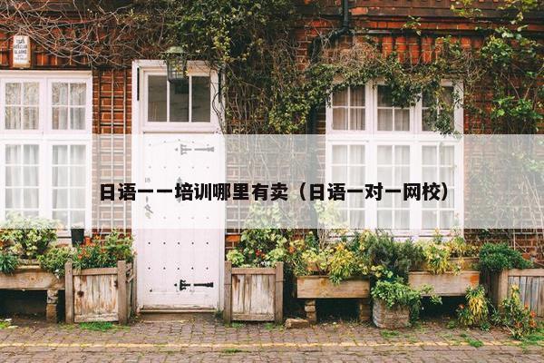 日语一一培训哪里有卖（日语一对一网校）