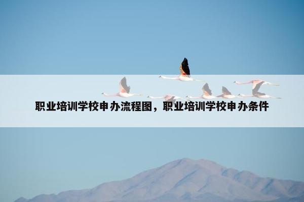 职业培训学校申办流程图，职业培训学校申办条件