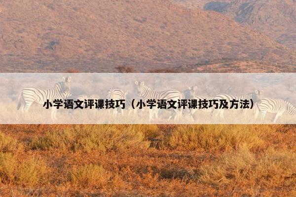 小学语文评课技巧（小学语文评课技巧及方法）