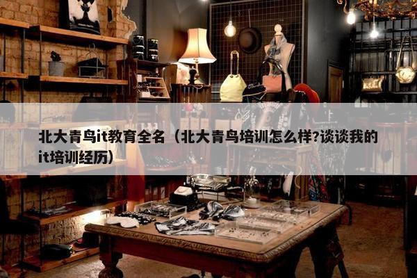 北大青鸟it教育全名（北大青鸟培训怎么样?谈谈我的it培训经历）