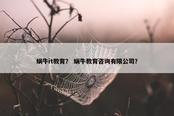 蜗牛it教育？ 蜗牛教育咨询有限公司？