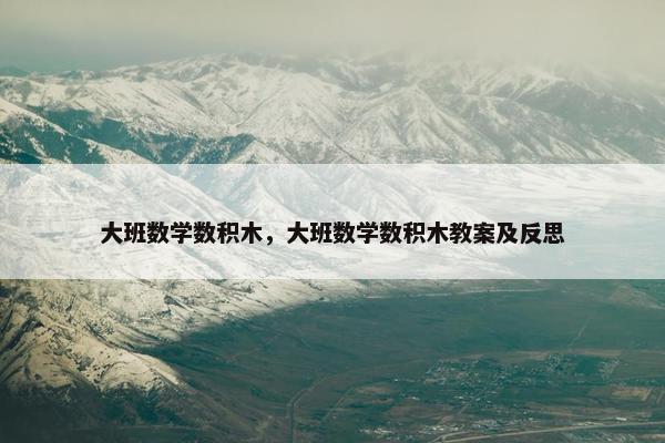 大班数学数积木，大班数学数积木教案及反思