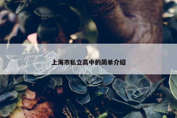 上海市私立高中的简单介绍