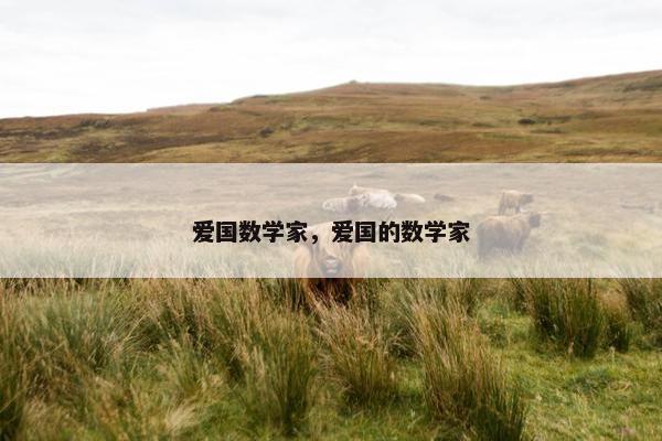 爱国数学家，爱国的数学家