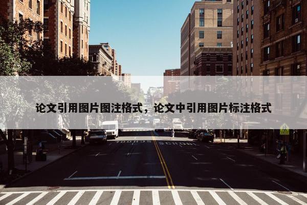论文引用图片图注格式，论文中引用图片标注格式