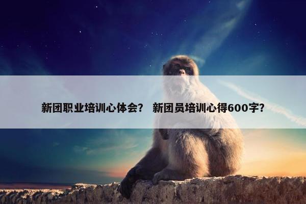 新团职业培训心体会？ 新团员培训心得600字？