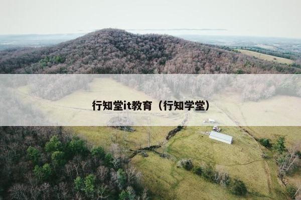 行知堂it教育（行知学堂）