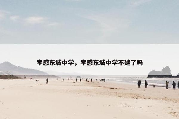 孝感东城中学，孝感东城中学不建了吗