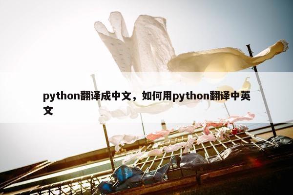 python翻译成中文，如何用python翻译中英文