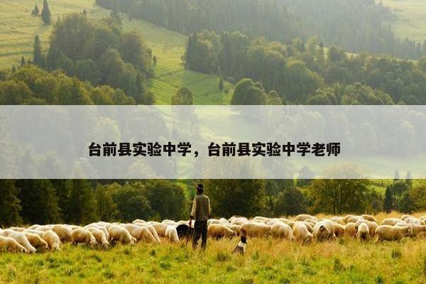 台前县实验中学，台前县实验中学老师