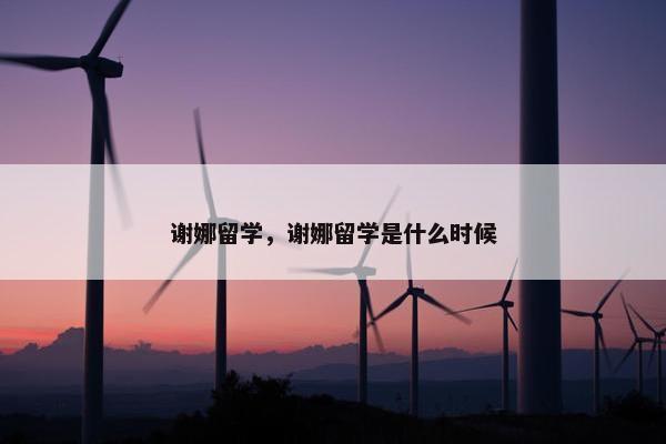谢娜留学，谢娜留学是什么时候