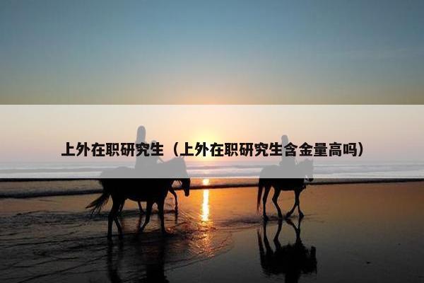 上外在职研究生（上外在职研究生含金量高吗）