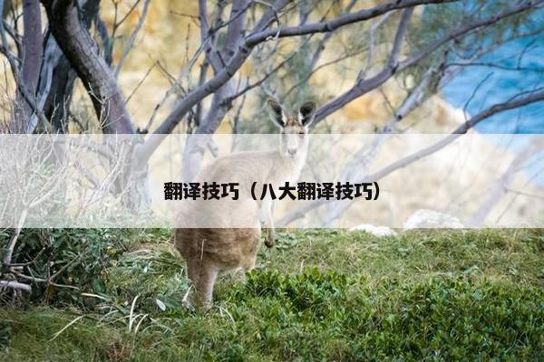 翻译技巧（八大翻译技巧）