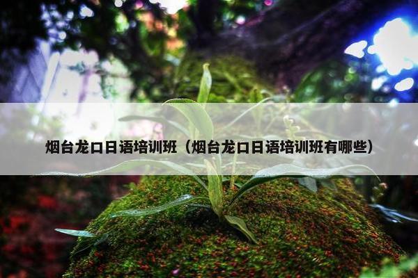 烟台龙口日语培训班（烟台龙口日语培训班有哪些）
