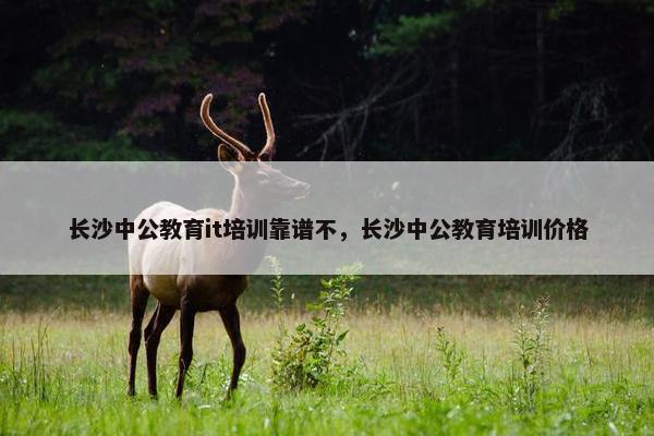 长沙中公教育it培训靠谱不，长沙中公教育培训价格