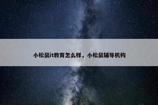 小松鼠it教育怎么样，小松鼠辅导机构
