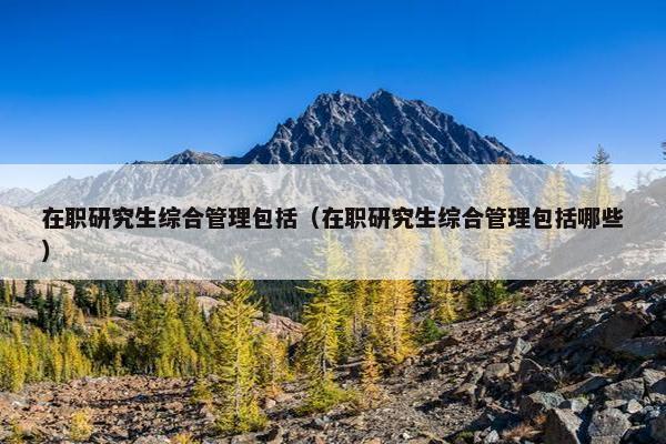 在职研究生综合管理包括（在职研究生综合管理包括哪些）