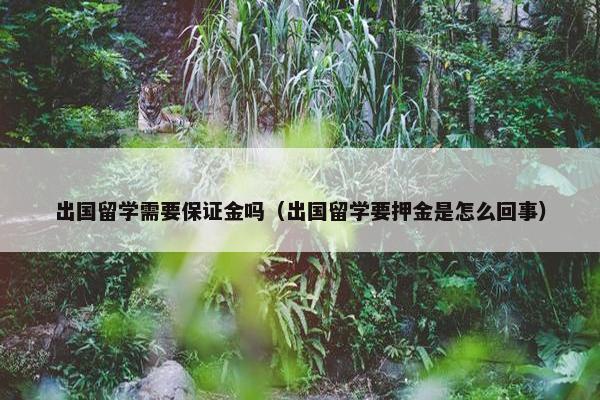 出国留学需要保证金吗（出国留学要押金是怎么回事）