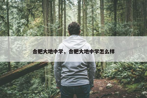 合肥大地中学，合肥大地中学怎么样