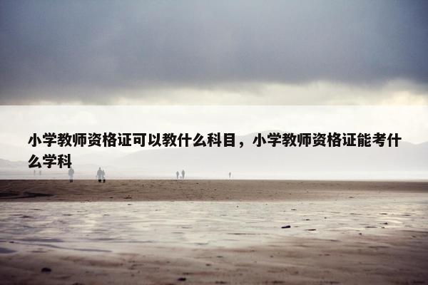 小学教师资格证可以教什么科目，小学教师资格证能考什么学科