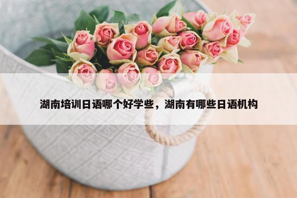 湖南培训日语哪个好学些，湖南有哪些日语机构