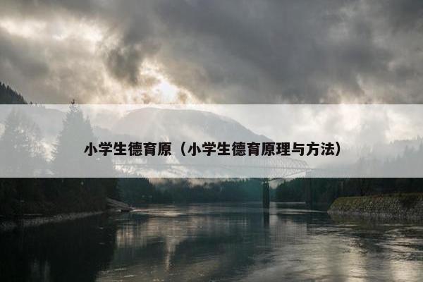 小学生德育原（小学生德育原理与方法）