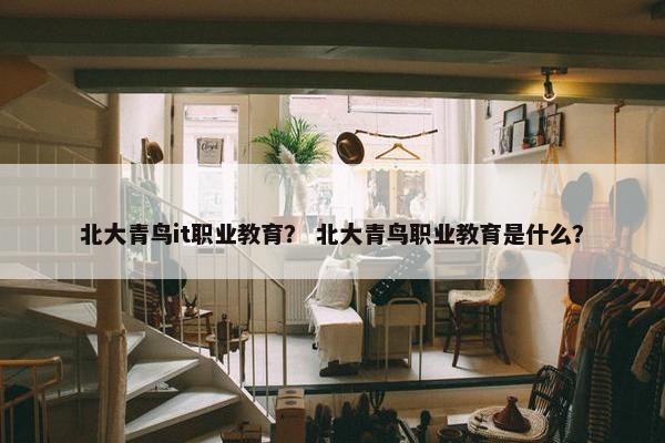 北大青鸟it职业教育？ 北大青鸟职业教育是什么？
