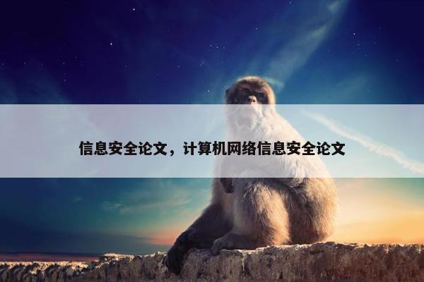 信息安全论文，计算机网络信息安全论文